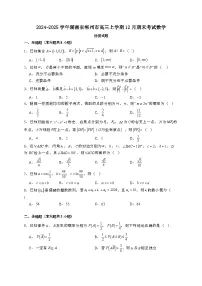 2024~2025学年湖南省郴州市高三上学期12月期末考试数学试卷【有解析】