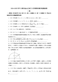 2024~2025学年上海市金山区高三上学期期末数学试卷（一模）附解析