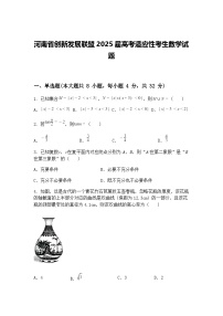 河南省创新发展联盟2025届高三下高考适应性考生数学模拟试题（含答案解析）