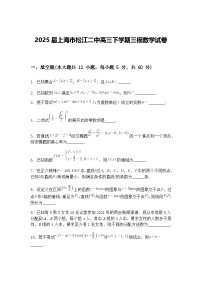 2025届上海市松江二中高三下学期三模数学试卷（含答案解析）