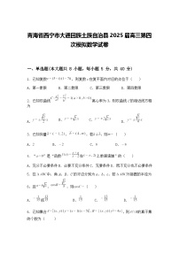 青海省西宁市大通回族土族自治县2025届高三下第四次模拟数学试卷（含答案解析）