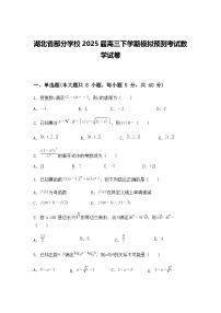 湖北省部分学校2025届高三下学期模拟预测考试数学试卷（含答案解析）