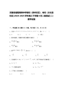 河南省信阳高级中学新校（贤岭校区）、老校（文化街校区）2024-2025学年高三下学期4月二模测试（二）数学试题（含答案解析）