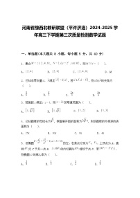 河南省豫西北教研联盟（平许济洛）2024-2025学年高三下学期第三次质量检测数学试题（含答案解析）