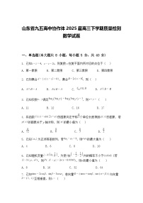 山东省九五高中协作体2025届高三下学期质量检测数学试题（含答案解析）