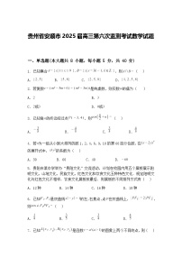 贵州省安顺市2025届高三下第六次监测考试数学试题（含答案解析）