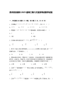 贵州省安顺市2025届高三下第六次监测考试数学试题（含答案解析）