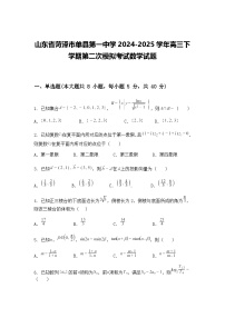 山东省菏泽市单县第一中学2024-2025学年高三下学期第二次模拟考试数学试题（含答案解析）