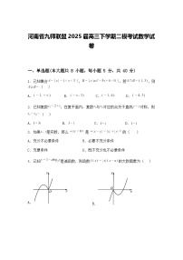 河南省九师联盟2025届高三下学期二模考试数学试卷（含答案解析）