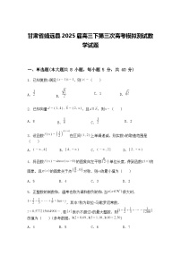 甘肃省靖远县2025届高三下第三次高考模拟测试数学试题（含答案解析）