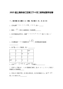2025届上海市徐汇区高三下4月二模考试数学试卷（含答案解析）