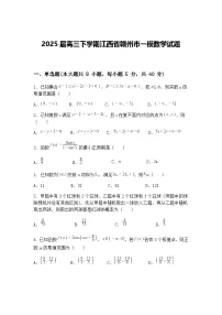 2025届高三下学期江西省赣州市一模数学试题（含答案解析）