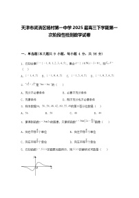 天津市武清区杨村第一中学2025届高三下学期第一次阶段性检测数学试卷（含答案解析）