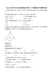 2024-2025学年上海市杨浦高级中学高二下学期期末考试数学试卷（含答案）