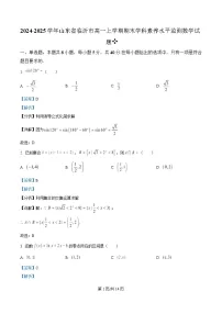 山东省临沂市2024-2025学年高一上学期1月期末考试数学试卷+解析