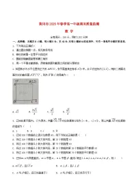 湖北省黄冈市2024_2025学年高一数学下学期期末考试