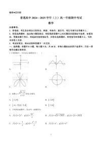 河南省天一大联考2024—2025 学年（上）高一年级期中考试数学试卷+答案