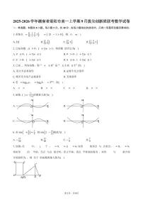 2025-2026学年湖南省邵阳市高一上学期9月拔尖创新班联考数学试卷（含答案）