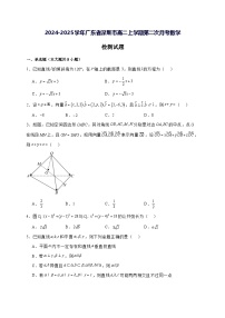 2024—2025学年度广东省深圳市高二上学期第二次月考数学试题[含解析]