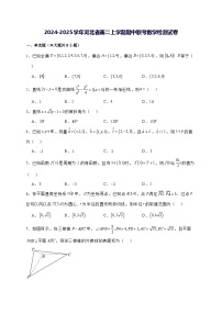 2024—2025学年度河北省高二上学期期中联考数学试题[含解析]