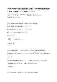2024—2025学年度上海市嘉定区高二上学期（12月）月考数学试题[含解析]