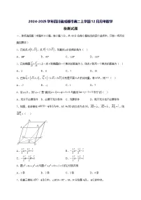 2024—2025学年度四川省成都市高二上册（12月）月考数学试题[含解析]