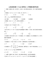 山东省青岛第二中2025届学高三上学期期末数学试卷（含答案）