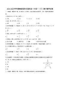 2024-2025学年湖南省岳阳市岳阳县一中高一（下）期中数学试卷（含答案）