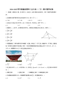 2024-2025学年福建省莆田十五中高一（下）期中数学试卷（含解析）