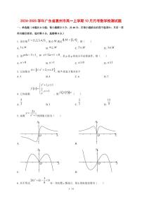 2024~2025学年广东省惠州市高一上学期（10月）月考数学试卷