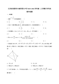 江西省宜春市丰城市第九中学2025~2026学年高二上学期开学考试数学试卷