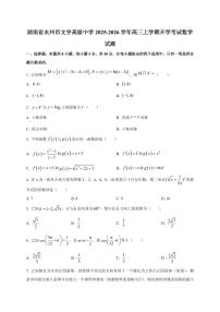 2025~2026学年湖南省永州市文宇高级中学高三上册开学考试数学试卷【含解析】