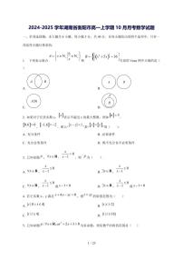 2024^2025学年湖南省衡阳市高一（上）10月月考数学试卷[解析]