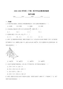 重庆市九龙坡、渝中区等4地2024-2025学年高一下学期期末学业质量调研抽测数学试卷（含解析）