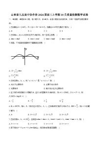 山东省九五高中协作体2026届高三上学期10月质量检测数学试卷（含答案）