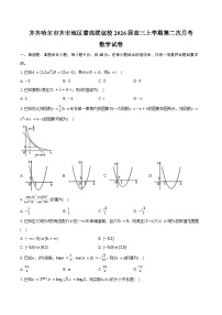 黑龙江省齐齐哈尔市齐市地区普高联谊校2026届高三上学期第二次月考数学试卷（含答案）