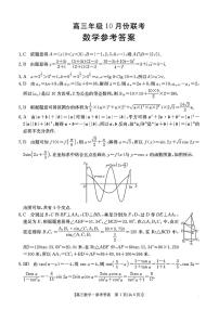 2024年河北金太阳高三上学期10月考试数学试题及答案
