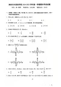 2024-2025学年深圳外国语学校高一(上)期末数学试卷