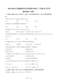 2025-2026学年湖南省长沙市名校联合体高二上学期10月月考数学试卷（B卷）（含答案）