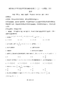 四川省绵阳市南山中学实验学校2026届高三上学期一诊数学模拟卷（四）试题（Word版附解析）