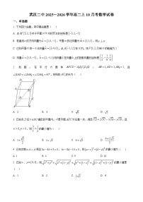 湖北省武汉市第二中学2025-2026学年高二上学期10月月考数学试卷（Word版附解析）