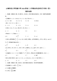 云南师范大学附属中学2026届高三上学期高考适应性月考卷（四）数学试卷（含答案）