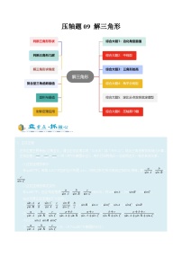 2026年高考数学压轴专项训练压轴题09解三角形(原卷版+解析)