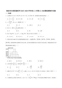 湖南天壹名校联盟2026届高三上学期11月期中数学试卷+答案