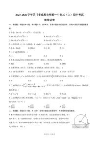 2025-2026学年四川省成都市郫都一中高三（上）期中数学试卷（含答案）
