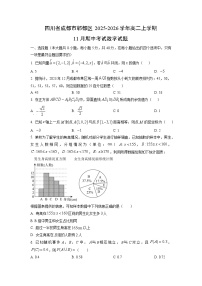 四川省成都市郫都区2025-2026学年高二上学期11月期中考试数学试卷（学生版）