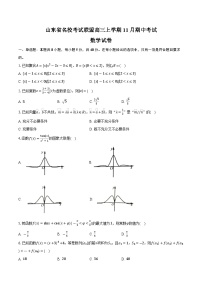山东省名校考试联盟高三上学期11月期中数学试卷（含答案）
