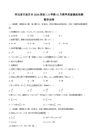河北省石家庄市2026届高三上学期11月教学质量摸底检测数学试卷（含答案）
