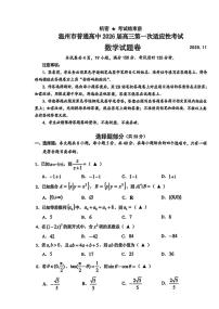 浙江省温州市普通高中2026届高三上学期11月第一次适应性考试数学试题（含答案）