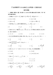 2026届广东省肇庆市高三上学期第一次模拟考试数学试题（学生版）